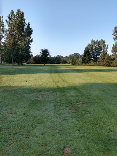 Golf Course «Vienna Greens Golf Course», reviews and photos, 1184 E Tobias Rd, Clio, MI 48420, USA