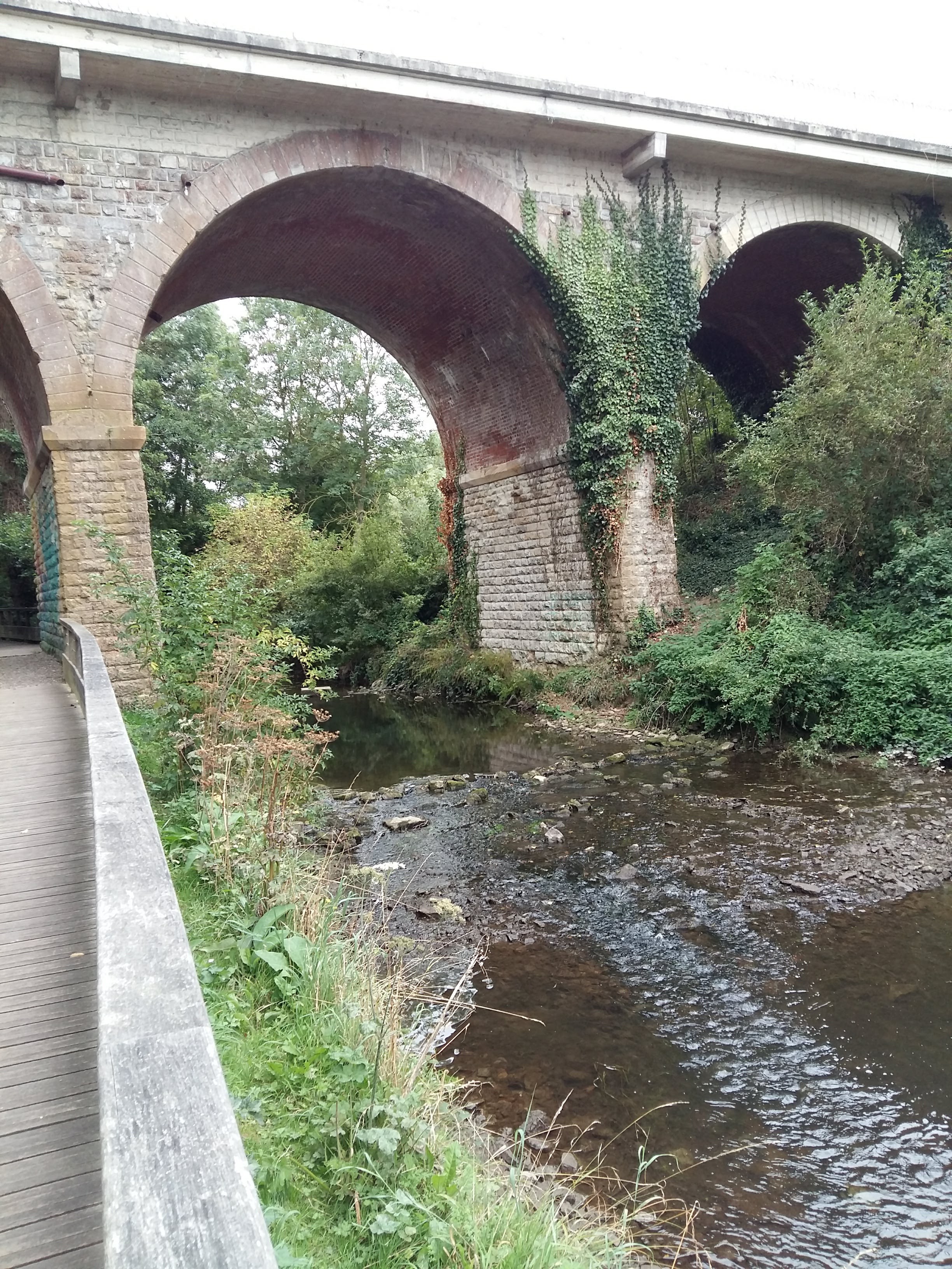 Photo n° 1 de l'avis de Yvonne.e fait le 13/10/2019 à 11:31