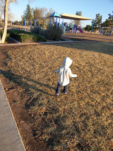 Park «Conocido Park», reviews and photos, 15645 N 31st Dr, Phoenix, AZ 85053, USA