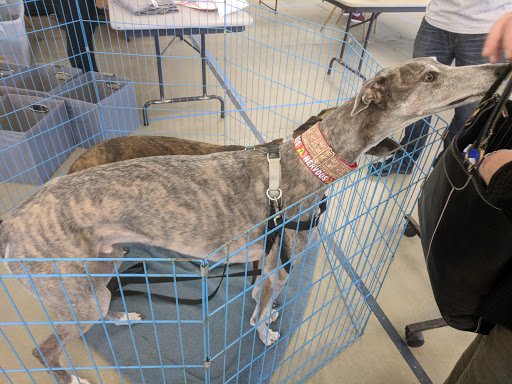 Sports Complex «All Star Family Fun & Events», reviews and photos, 2638 Emmitsburg Rd, Gettysburg, PA 17325, USA