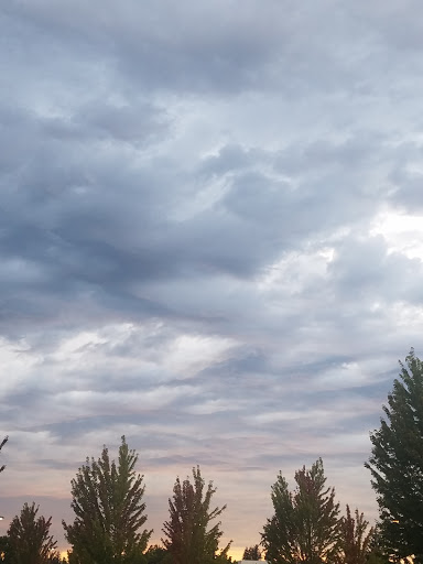 Movie Theater «Regal Cinemas Marysville 14», reviews and photos, 9811 State Ave, Marysville, WA 98270, USA