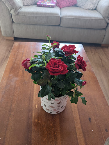 Reviews of Kabloom florist in Glasgow - Florist
