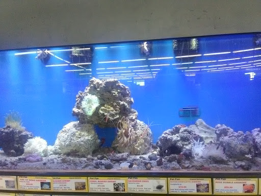 Pet Supply Store «Pet Fun At Harden Ranch Plz», reviews and photos, 1780 N Main St, Salinas, CA 93906, USA