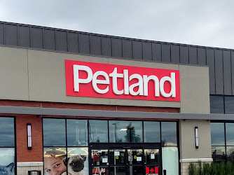 Petland Harvest Pointe