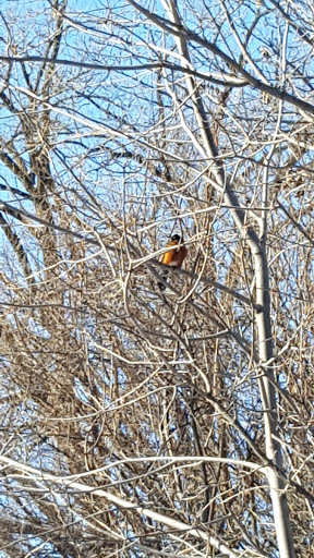 Park «Valley View Park», reviews and photos, 5575 Ozark Avenue North, Oak Park Heights, MN 55082, USA