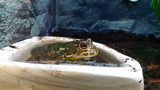 Pet Supply Store «Petco Animal Supplies», reviews and photos, 5631 Grove Blvd, Hoover, AL 35226, USA