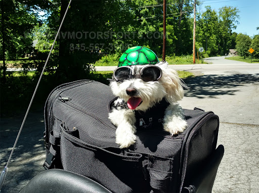 Motorcycle Repair Shop «High Velocity Motorsports», reviews and photos, 645 NY-17K, Montgomery, NY 12549, USA