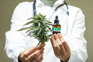 MMDOCTORS | Marijuana Doctor Houston image