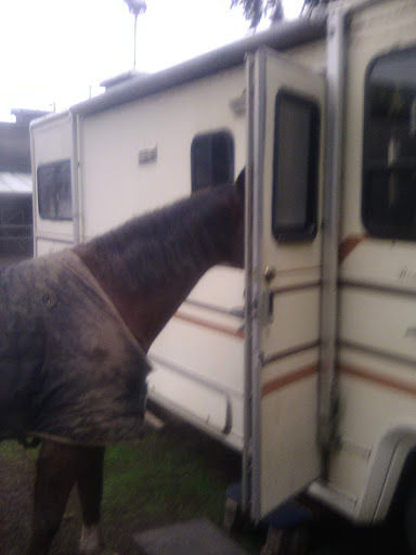 Department Store «Coastal Farm & Ranch», reviews and photos, 1550 Mt Hood Ave, Woodburn, OR 97071, USA