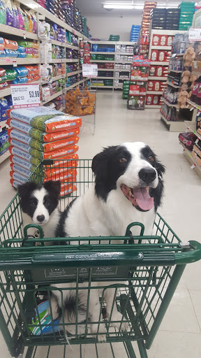 Pet Supply Store «Pet Supplies Plus», reviews and photos, 18610 W Bluemound Rd, Brookfield, WI 53045, USA