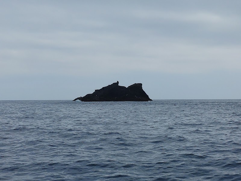 カツオ島