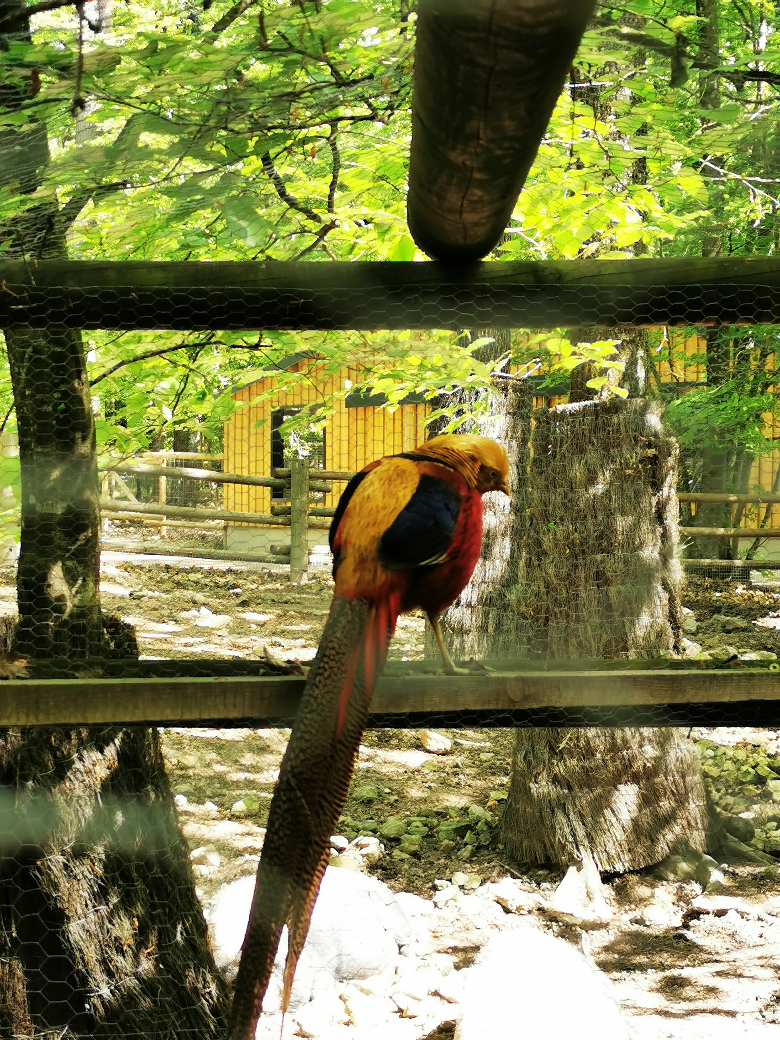 Photo n° 2 de l'avis de Guillaume.e fait le 22/05/2023 à 08:10