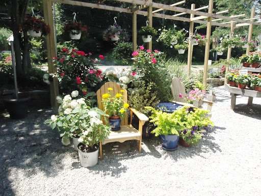 Garden Center «Town & Country Nurseries», reviews and photos, 1036 Saybrook Rd, Haddam, CT 06438, USA
