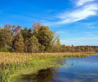 Value Land Buyers Of SC - Photo 3 - Car repair in Myrtle Beach, SC, Myrtle Beach