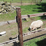 Photo n°6 de l'avis de Fabian.. fait le 28/05/2017 à 11:15 sur le  Café im Schafstall à Barsinghausen