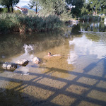 Photo n°13 de l'avis de Erik.a fait le 21/08/2022 à 19:39 sur le  Chiemseepark Bernau-Felden à Bernau am Chiemsee