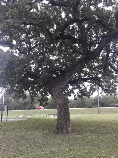 Park «Glendale Park», reviews and photos, 1515 E Ledbetter Dr, Dallas, TX 75216, USA