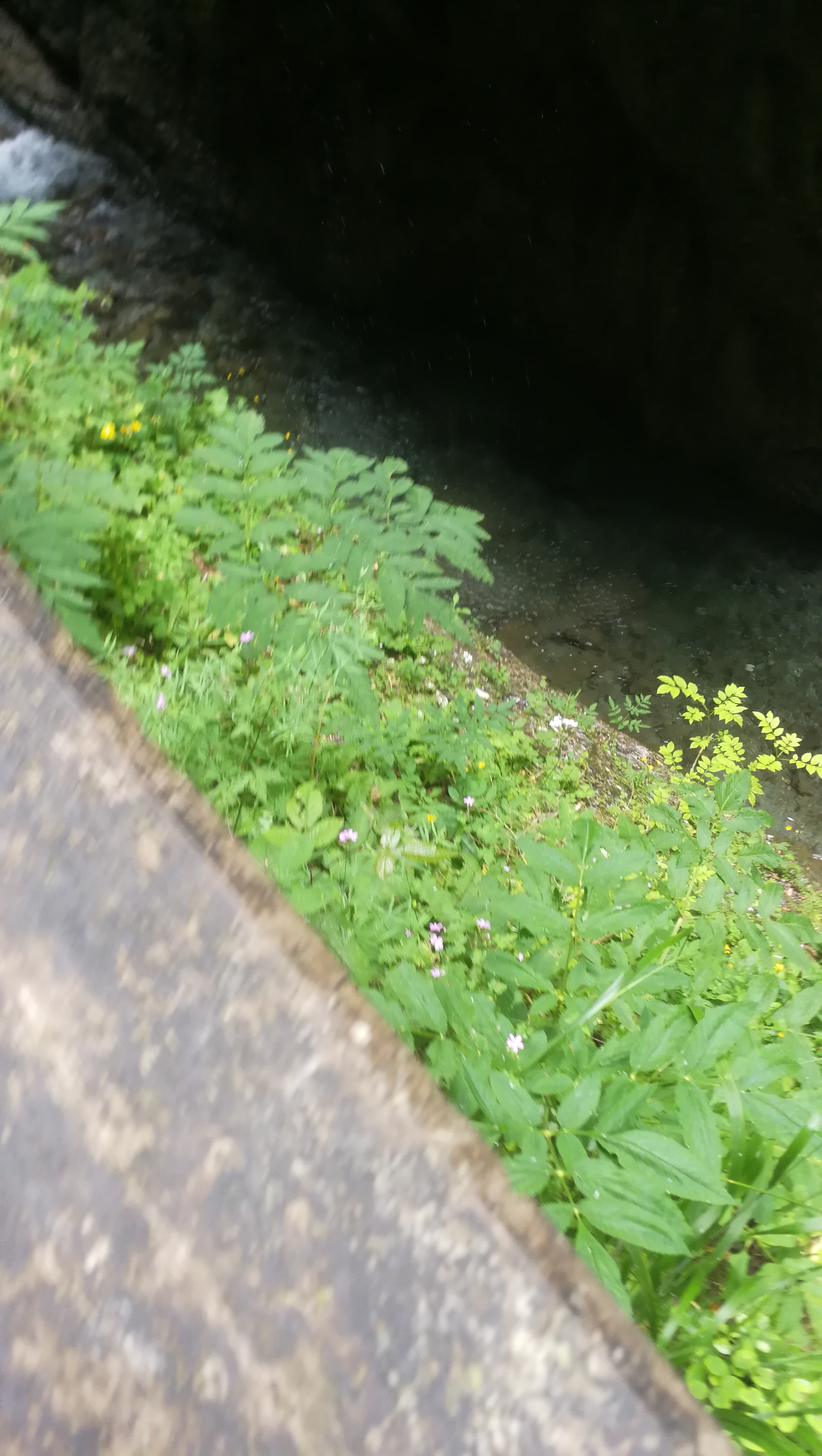 Photo n° 41 de l'avis de Corentin.t fait le 17/07/2019 à 21:16