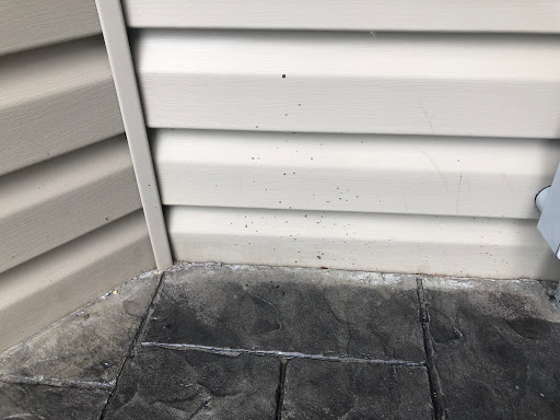 Painter «Americas Pros Inc», reviews and photos