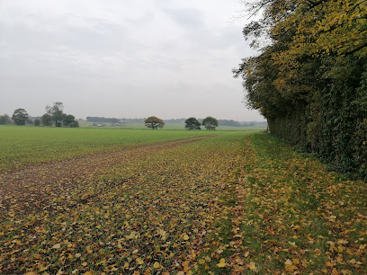 Delph Park