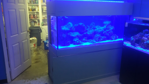 Tropical Fish Store «Saltwater Paradise», reviews and photos, 1313 W Airport Fwy, Irving, TX 75062, USA