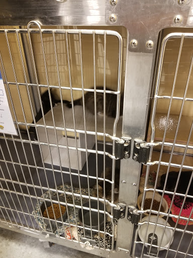 Pet Supply Store «PetSmart», reviews and photos, 842 Dawsonville Hwy, Gainesville, GA 30501, USA