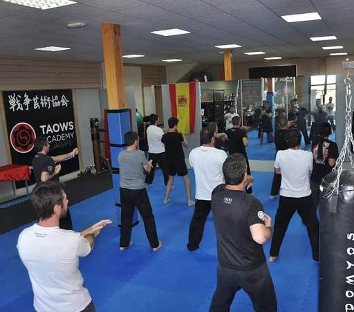 The Kung Fu Club Sevilla en Bollullos de la Mitación, Sevilla