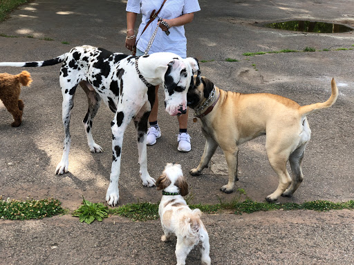 Park «ROGERS PARK», reviews and photos, 30 Rogers Park Ave, Boston, MA 02135, USA