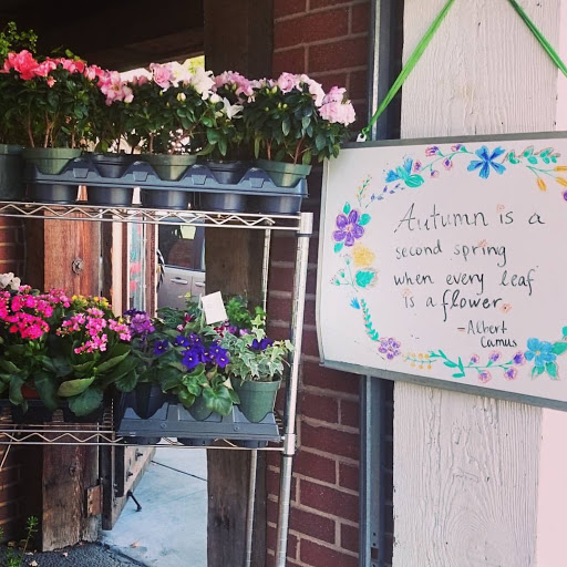 Florist «Mills the Florist», reviews and photos, 235 University Ave, Palo Alto, CA 94301, USA