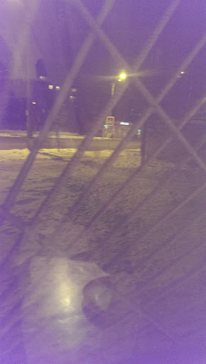 Surf Shop «Mollusk Surf Shop», reviews and photos, 4500 Irving St, San Francisco, CA 94122, USA