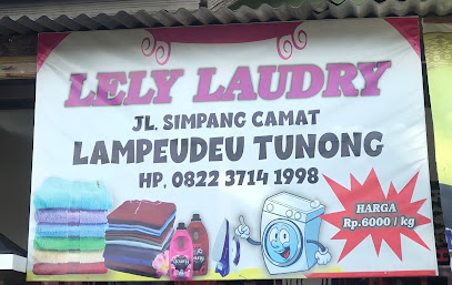 Lely Laundry