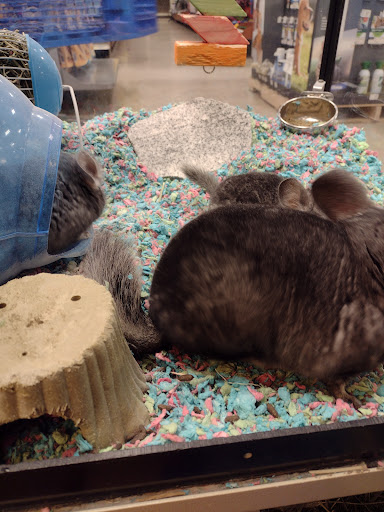 Pet Supply Store «PetSmart», reviews and photos, 16086 Jackson Creek Pkwy, Monument, CO 80132, USA