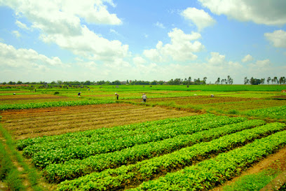 CropLife Latin America - Industria de la Ciencia de los Cultivos - www.croplifela.org