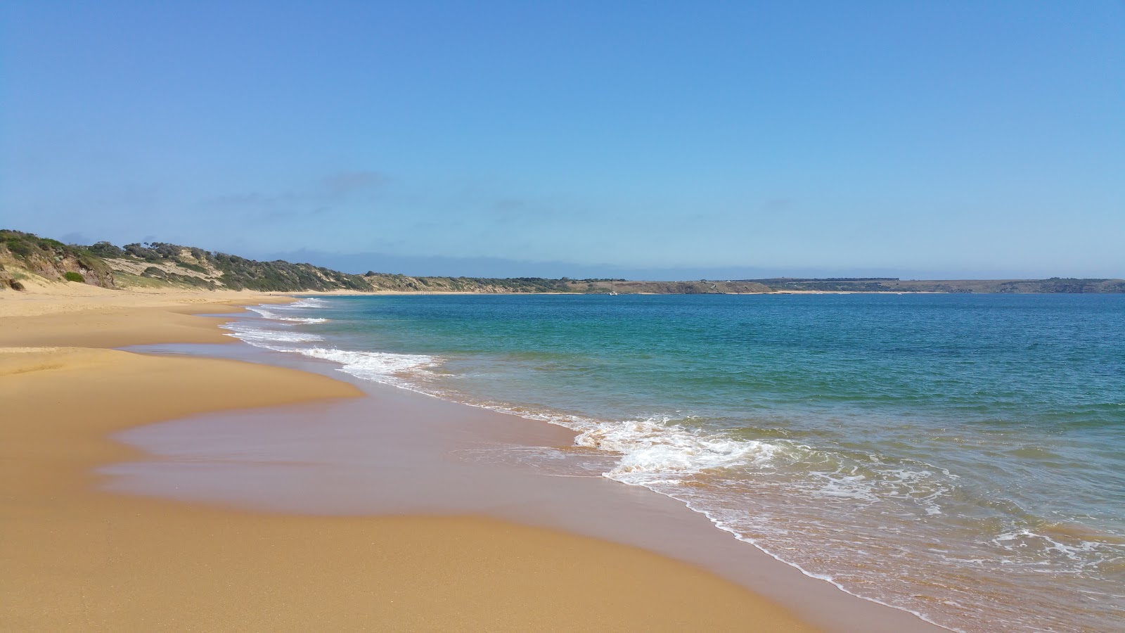 Foto di Flynns Beach con una superficie del sabbia beige