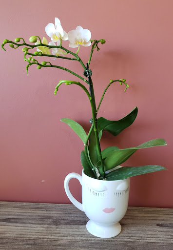 Florist «Flowers By Louis Hody», reviews and photos, 3515 W Hamilton Ave, Nashville, TN 37218, USA