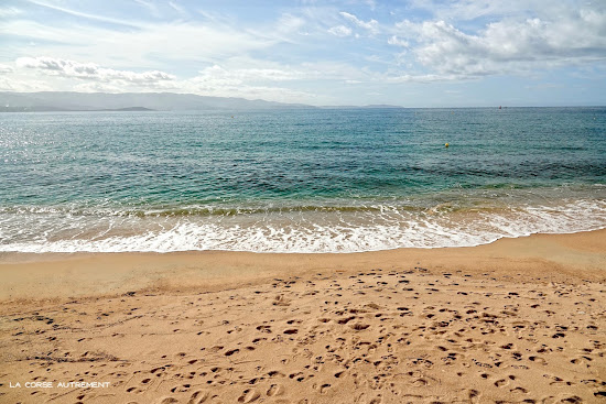 Plage Trottel