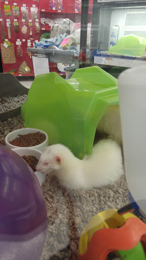 Pet Supply Store «Petco Animal Supplies», reviews and photos, 200 Edwards Blvd b, Lake Geneva, WI 53147, USA