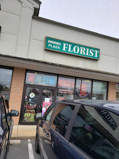 Florist «Annandale Plaza Florist», reviews and photos, 7328 Little River Turnpike, Annandale, VA 22003, USA