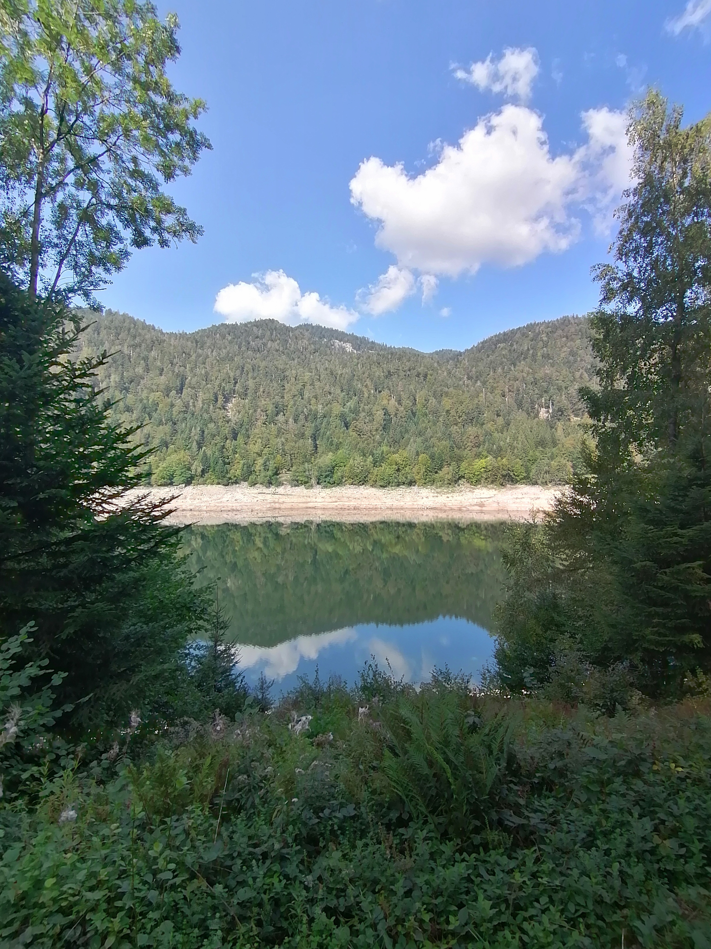 Photo n° 5 de l'avis de Bertrand.e fait le 09/09/2023 à 17:20