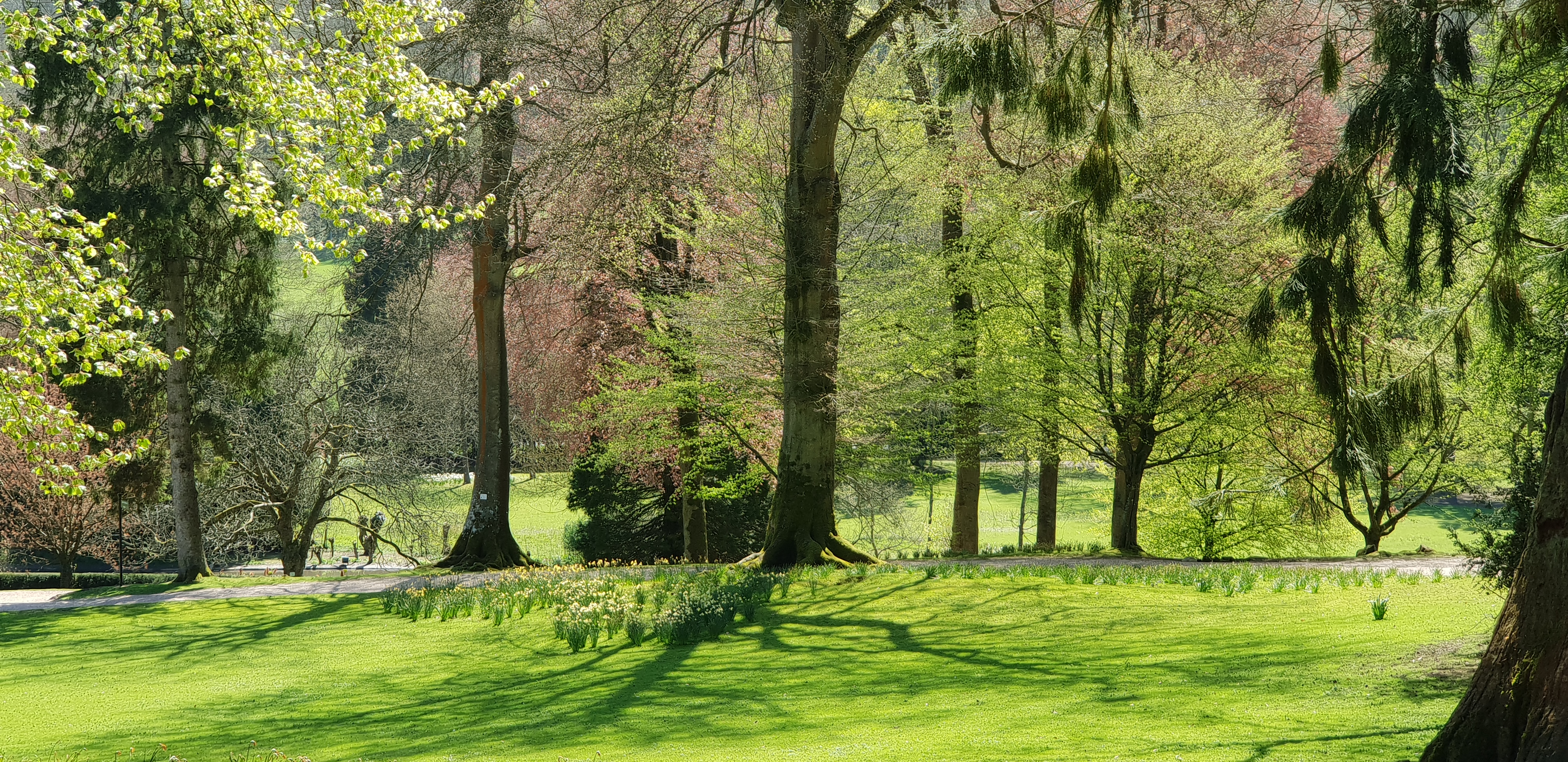Photo n° 19 de l'avis de Dominique.A fait le 18/04/2018 à 14:35