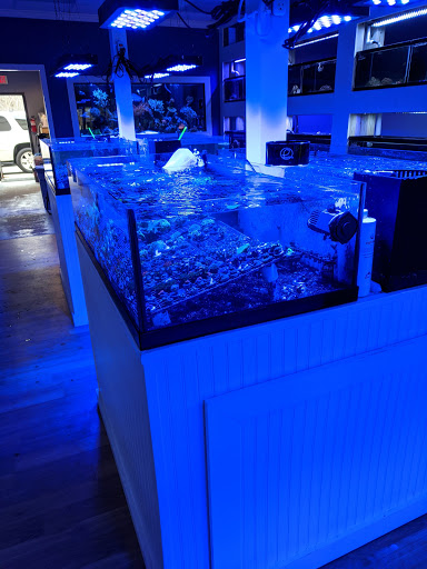 Tropical Fish Store «Classic City Aquariums», reviews and photos, 1260 Mars Hill Rd, Watkinsville, GA 30677, USA
