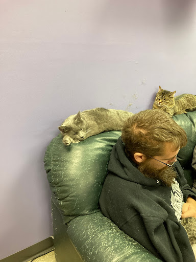 Pet Supply Store «Animal House Pet Supplies», reviews and photos, 733 Phillips Blvd, Sauk City, WI 53583, USA