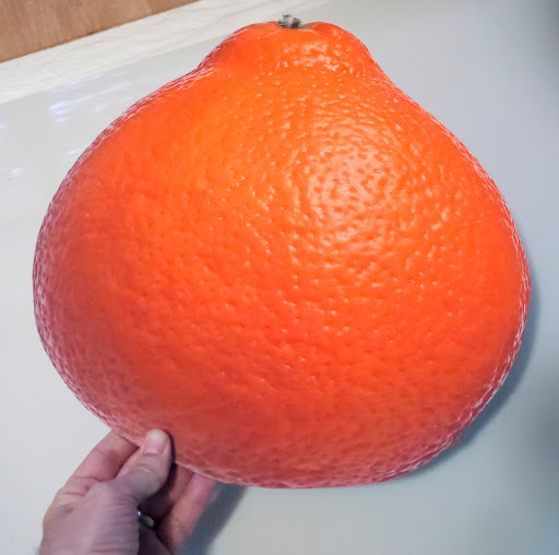 Print Shop «Miami Metal Prints - Sublimation on Aluminum», reviews and photos, 1300 NE 200th St, Miami, FL 33179, USA