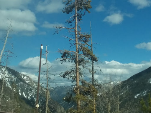 Plumber «Evergreen Septic Pumping», reviews and photos, 322 Quarter Cir Ln, Evergreen, CO 80439, USA