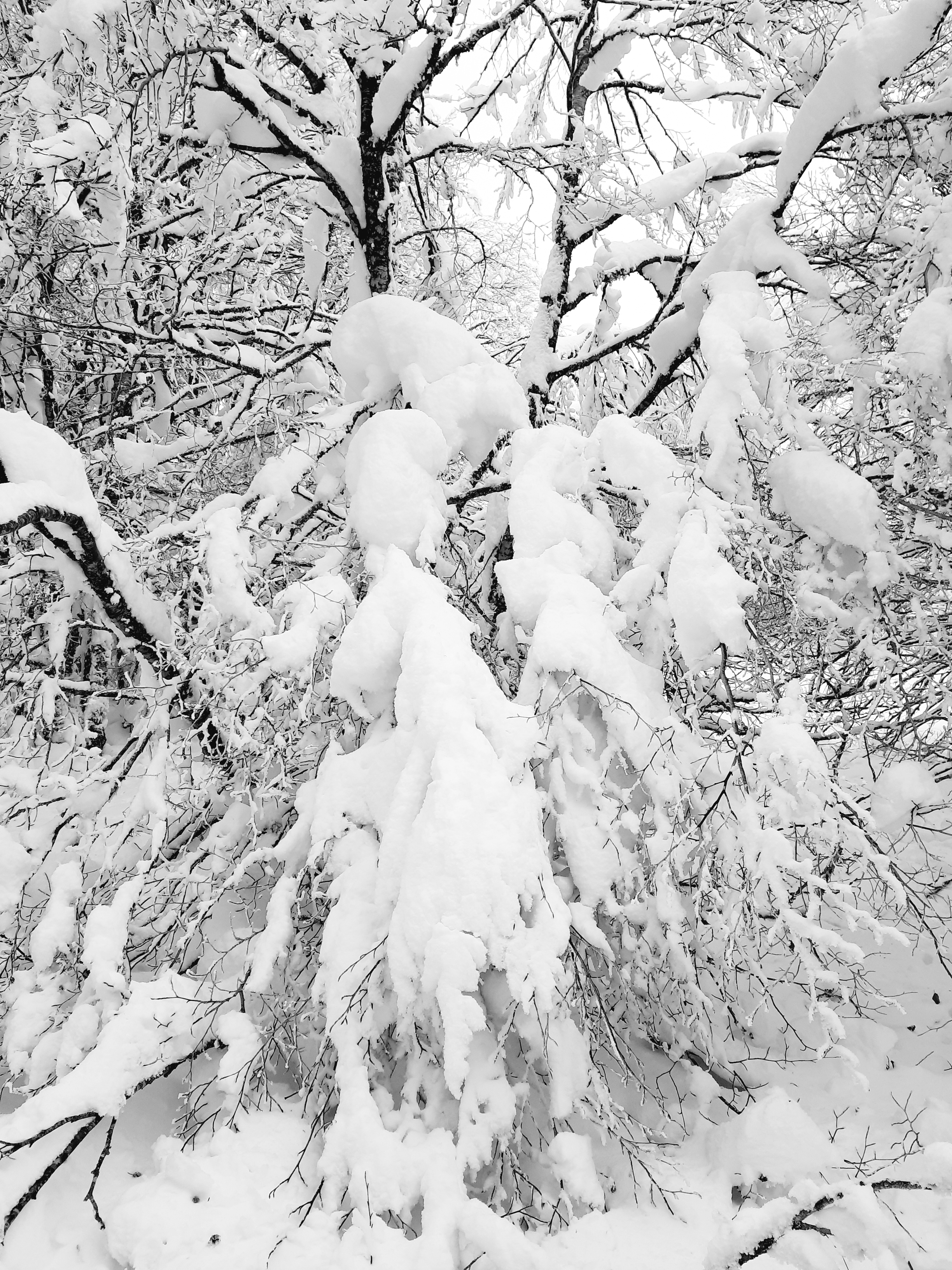 Photo n° 1 de l'avis de Véronique.o fait le 11/01/2021 à 08:16