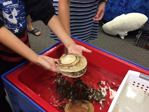 Aquarium «Explore the Ocean World, llc Oceanarium», reviews and photos, 367 Ocean Blvd, Hampton, NH 03842, USA