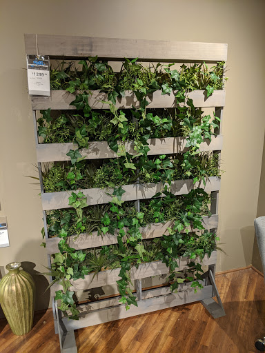 Furniture Store «Star Furniture», reviews and photos, 14051 I-35, Pflugerville, TX 78660, USA