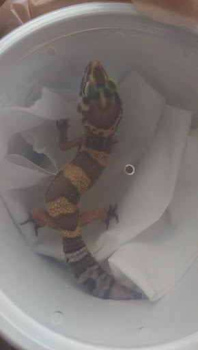 Pet Supply Store «PetSmart», reviews and photos, 1042 Fairplain Dr, Benton Harbor, MI 49022, USA