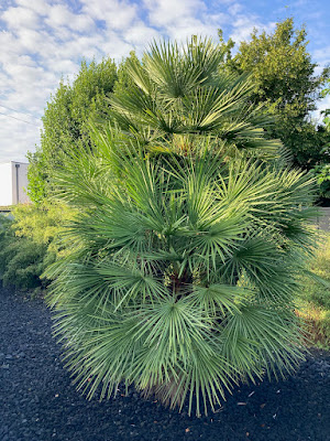 Insectosphere à Saint-Jean-le-Vieux