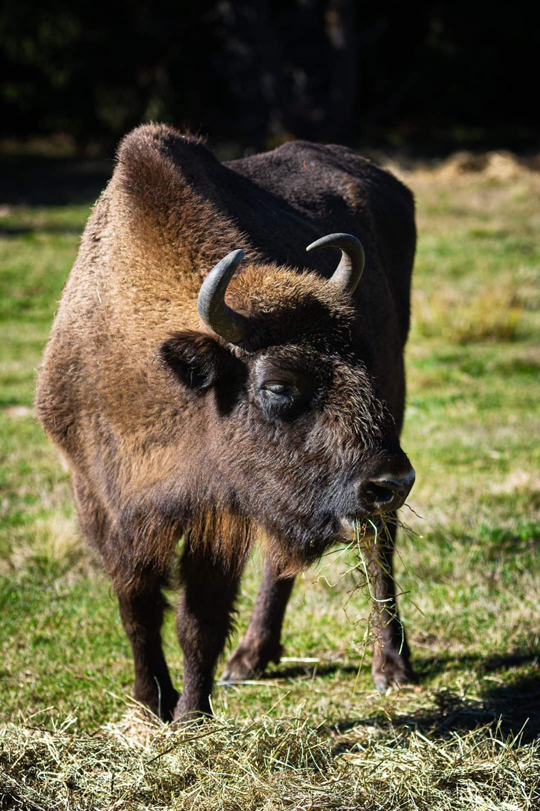 Photo n° 2 de l'avis de Laurent.o fait le 29/10/2019 à 10:33